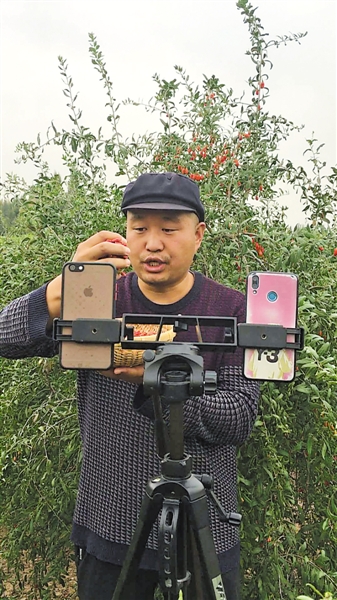 <p>　　拥有上万名粉丝的唐学斌，在枸杞地里“直播带货”。</p><p>　　本报记者　赵　磊　摄</p>