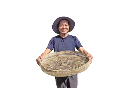 <p>　　常信乡新华村拱福生态科技有限公司工人捕捞鲜虾。</p>