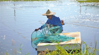 <p>　　贺兰县养殖水域面积已达5.8万亩。</p>