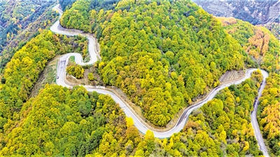 <p>　　六盘秋景。</p>