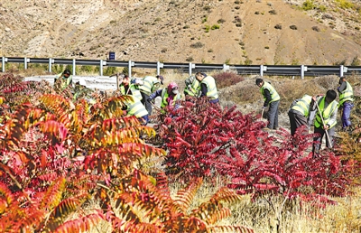 <p>　　　　秋冬季植树忙，确保“三年见成效，三十年披绿装”。</p>
