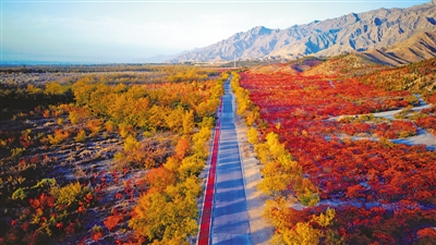 <p>　　　　大武口区十里红叶已成为宁夏有名的旅游打卡点。</p>