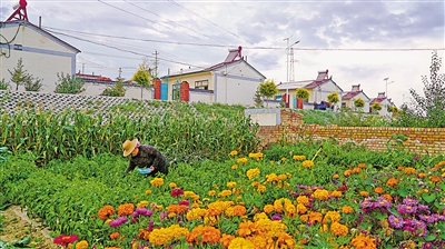 <p>　　农家庭院美如画。</p>