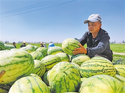 <p>　　洪广镇金鑫村西瓜喜获丰收。</p>