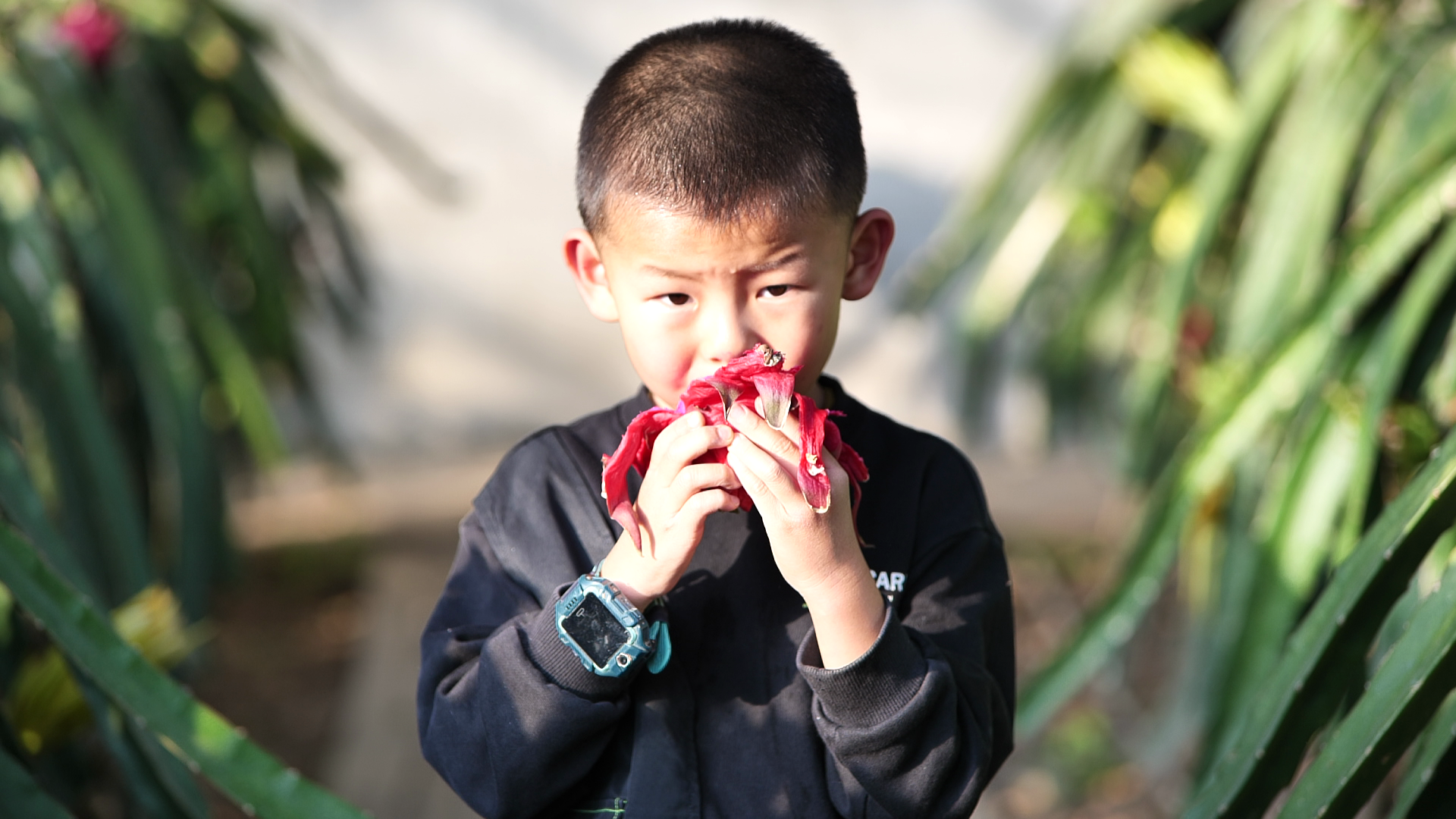 vlcsnap-2022-12-06-19h49m48s080.png