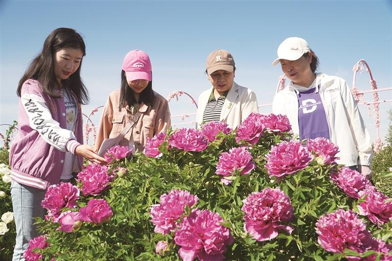 QQ图片20240510073434.png