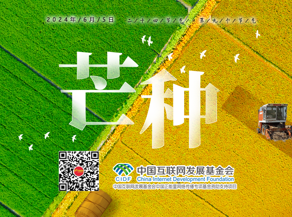 2024-芒种（横版）.png