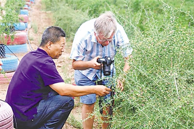 <p>　　王自贵和国外专家。</p><p>　　（图片由受访者提供）</p>