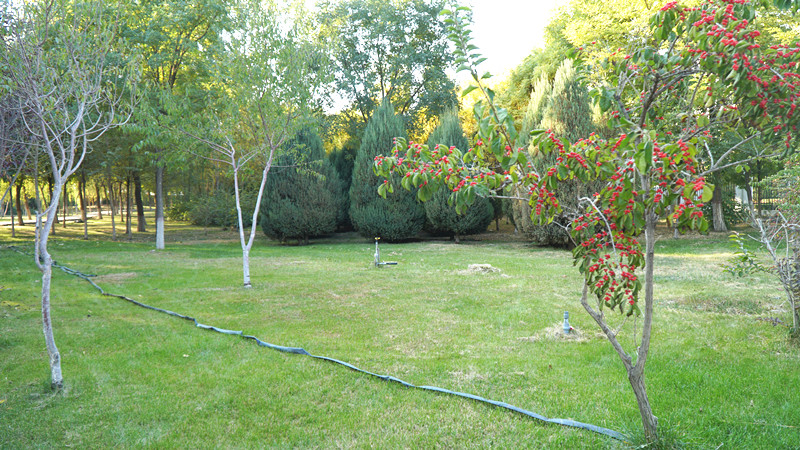 DSC09615_副本.jpg