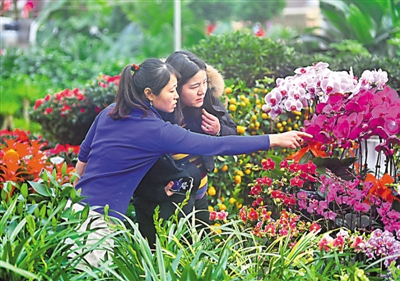 <p>　　精心挑选，装扮家居。</p>