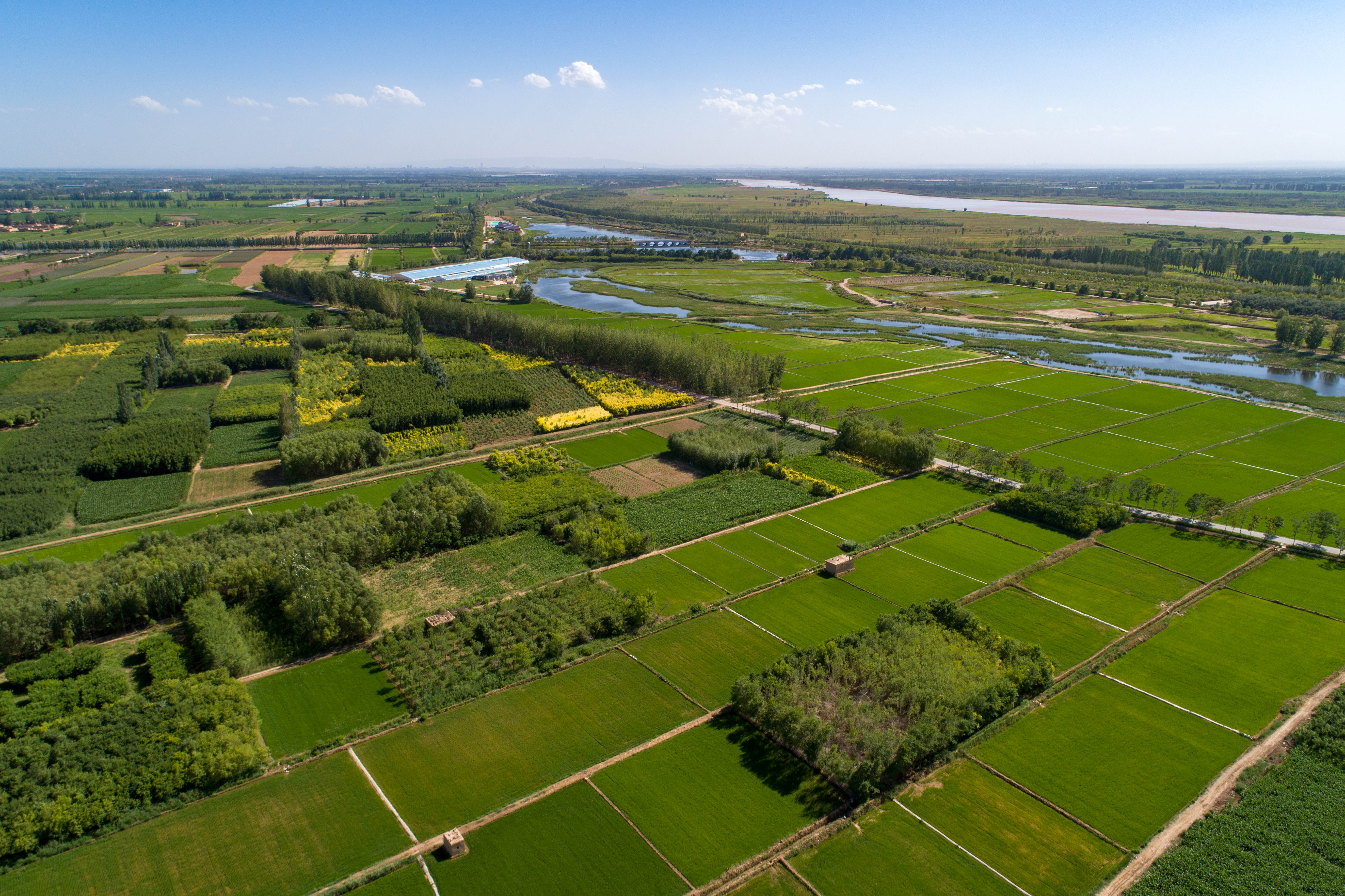 DJI_0140.jpg