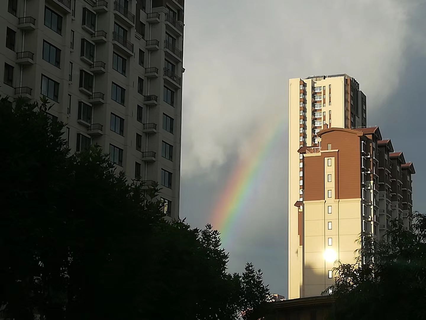 微信图片_20200708203541.jpg