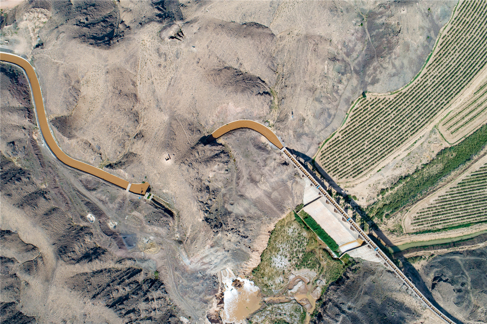 DJI_0320.jpg