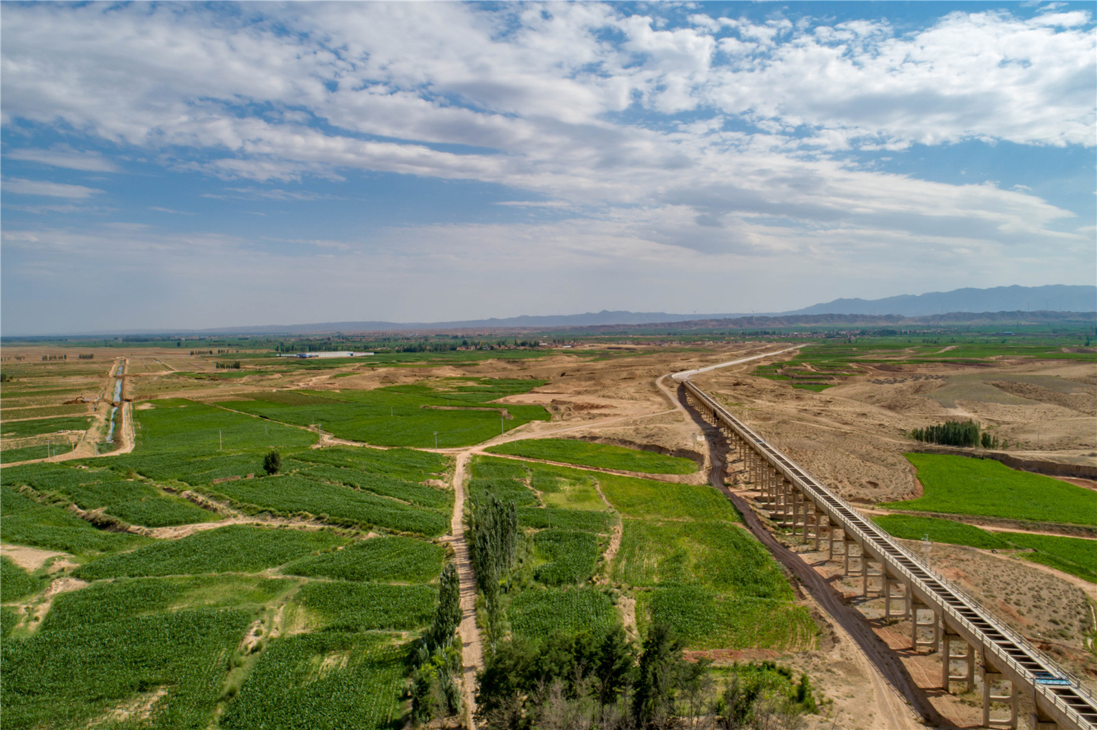 DJI_0335.jpg