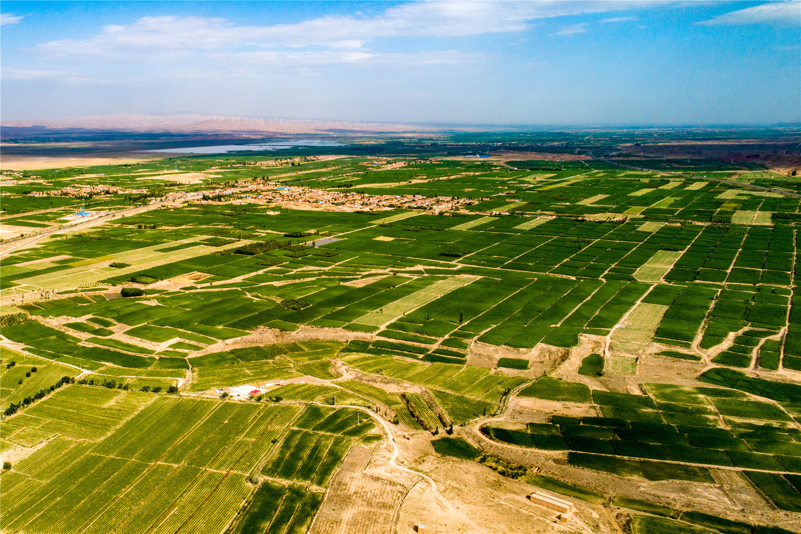 DJI_0374.jpg