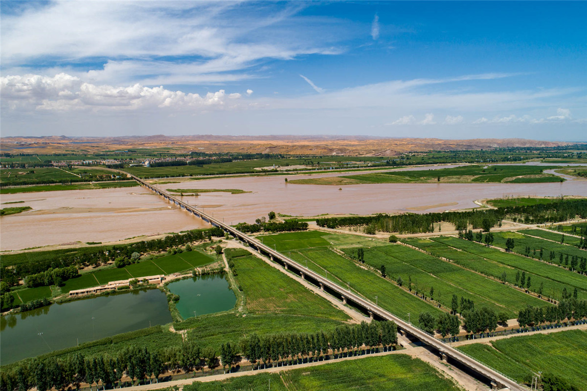 DJI_0780.jpg