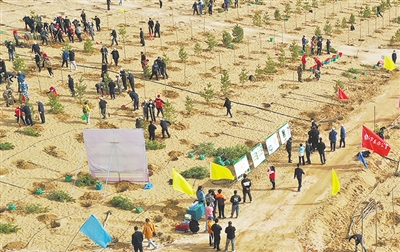 <p>　　3月29日，银川市兴庆区沙漠休闲运动公园义务植树点。　</p>