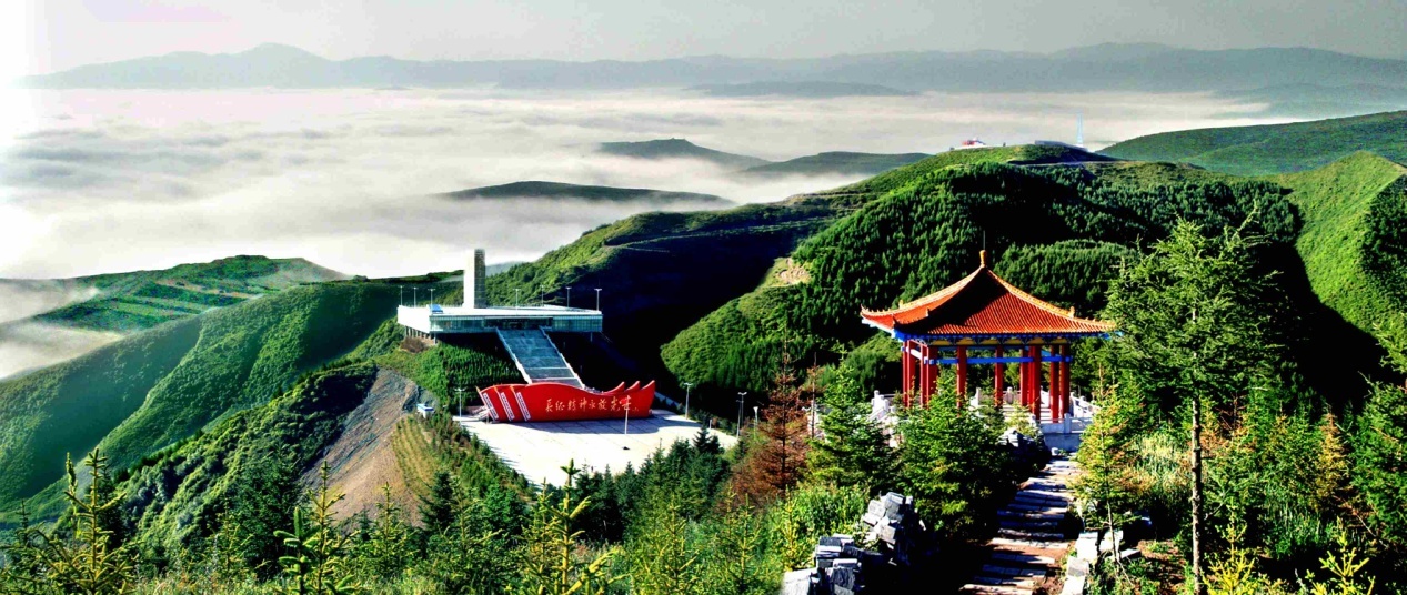 图片11.png?x-oss-process=style/w10