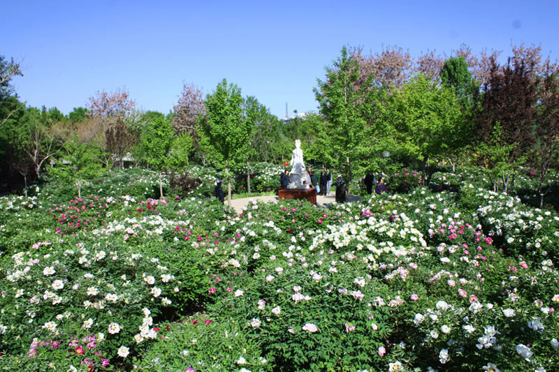 04.jpg