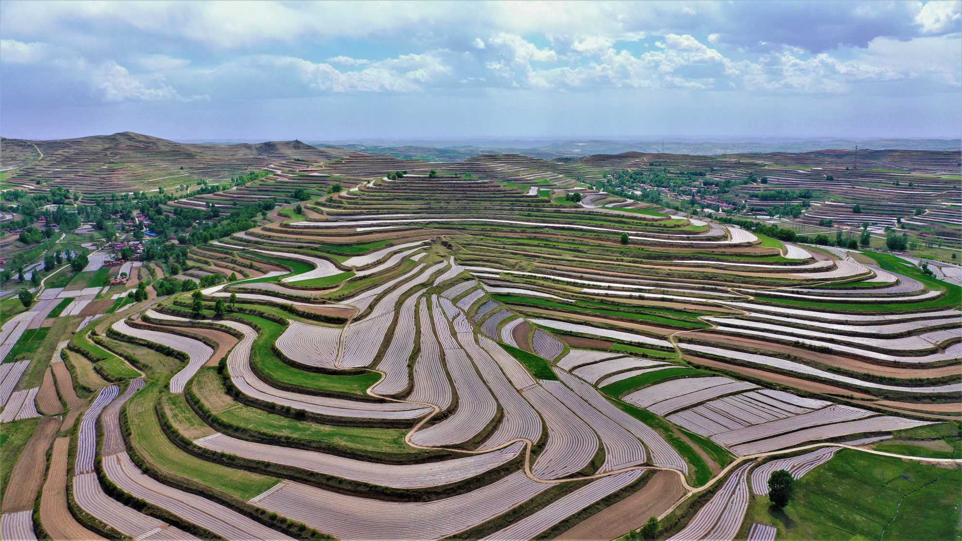DJI_0396(1).jpg