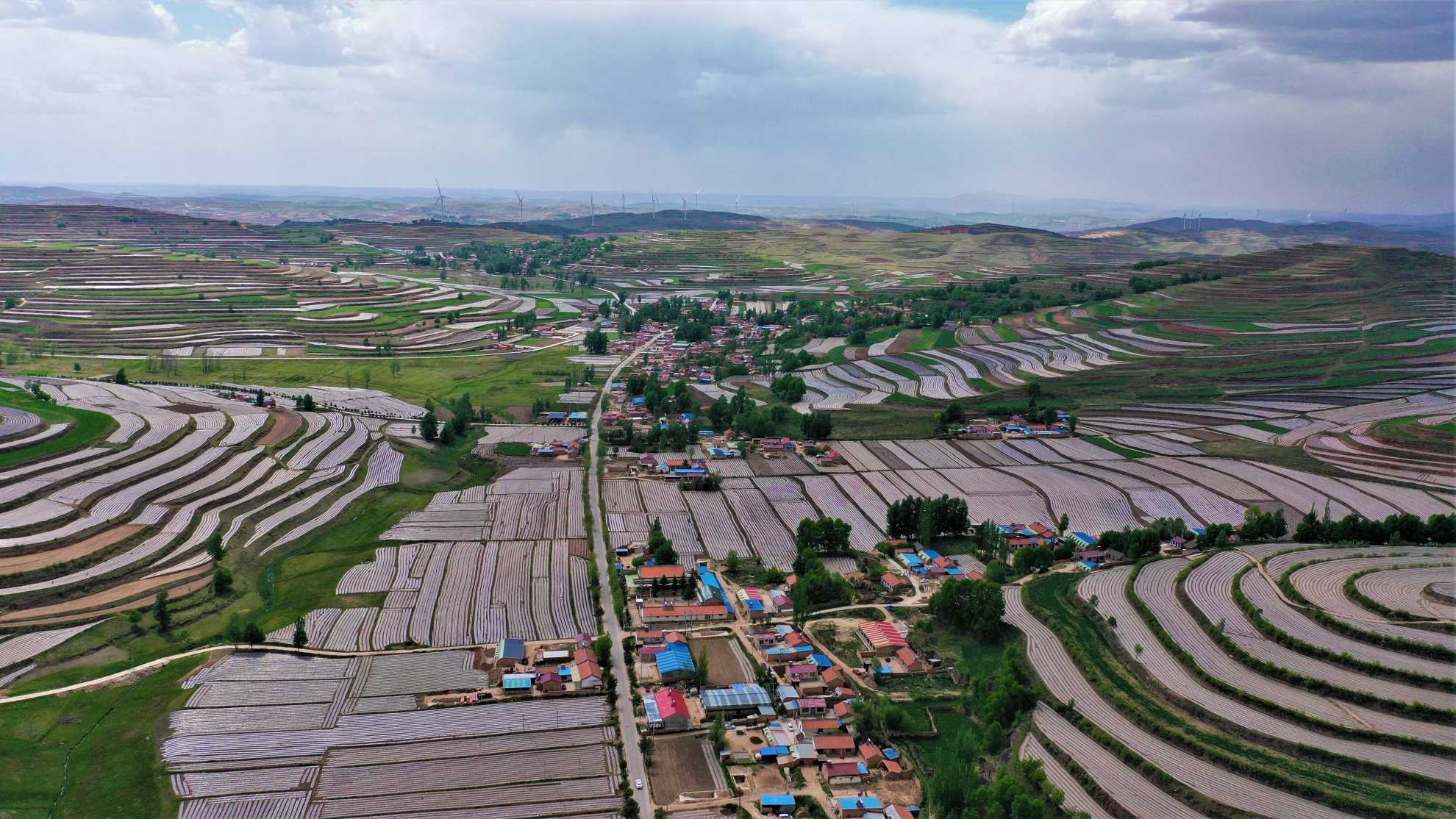 DJI_0398(1).jpg