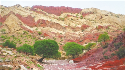 <p>　　白芨沟奇特地貌。</p>