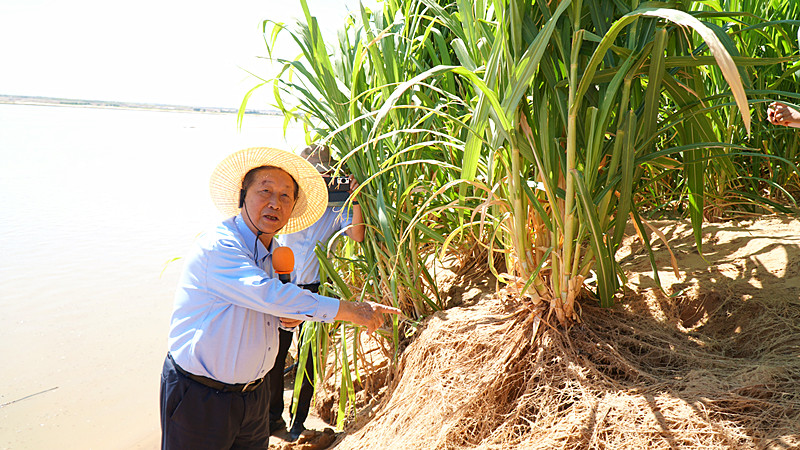 DSC02415_副本.jpg