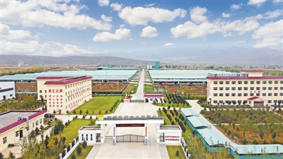 <p>　　图为华润帮扶建设的海原肉牛育肥基地。</p>