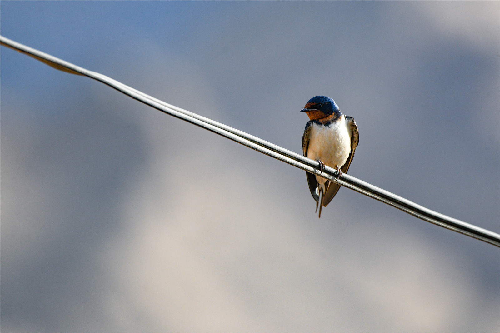 DSC_5647.jpg