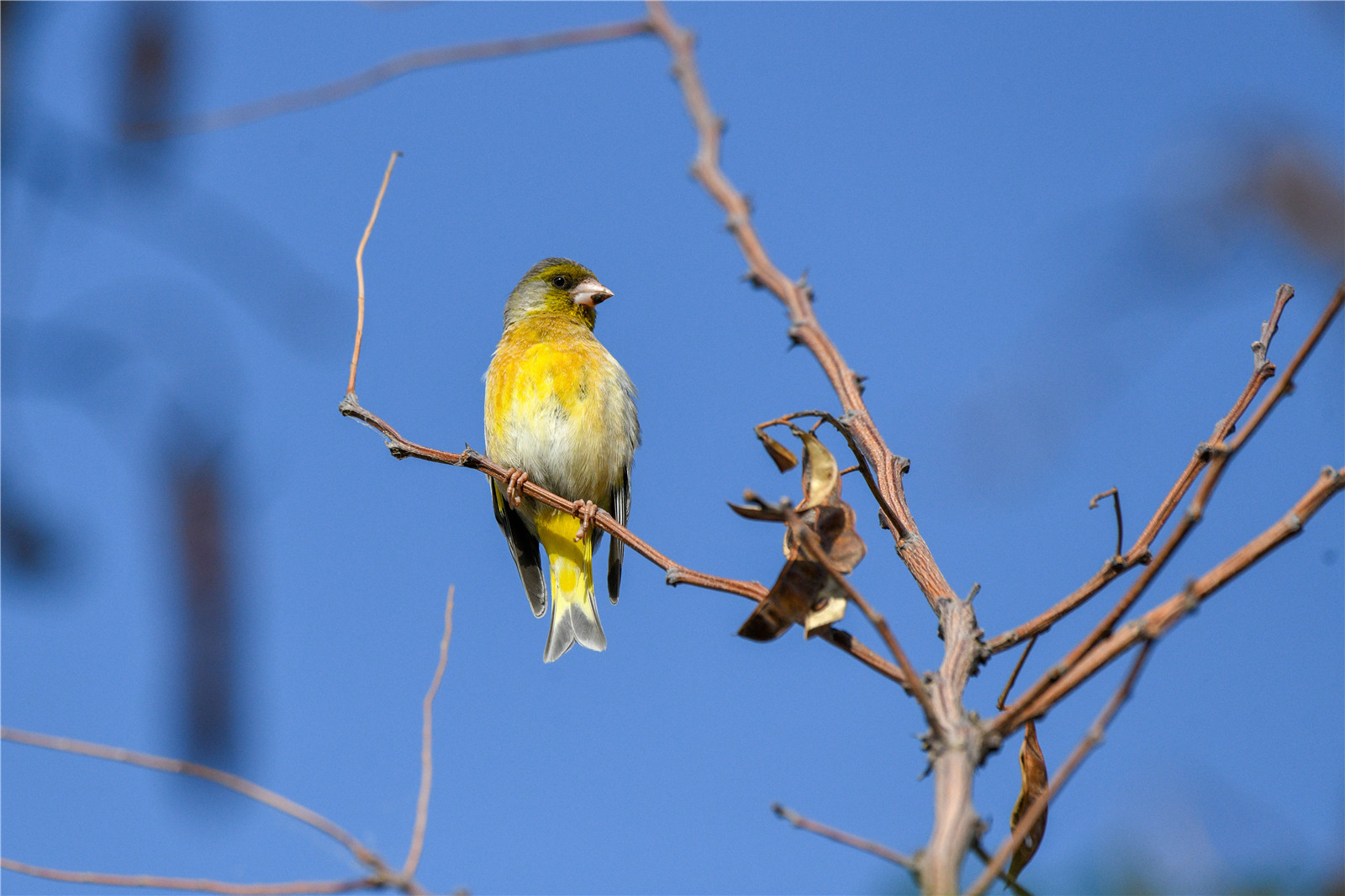 DSC_5666.jpg