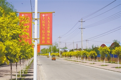 <p>　　补植的金叶榆美化乡镇。</p>