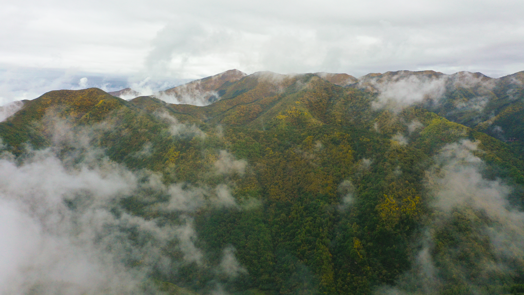 DJI_0082.png