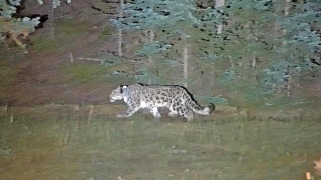 55.jpg