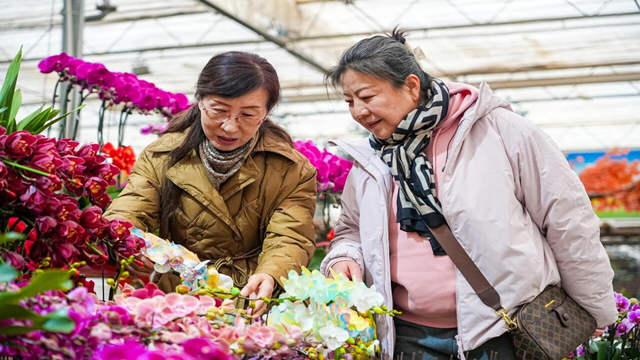 花香溢年味 客流踏春来