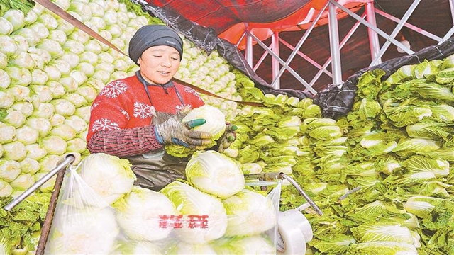 菜篮子盛满日子甜