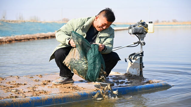 贺兰县水上春耕启幕