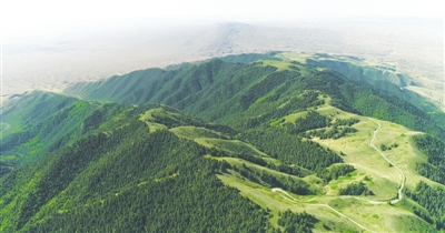 <p>　　有“荒漠翡翠”之称的罗山自然保护区。（图片由罗山自然保护区提供）</p>